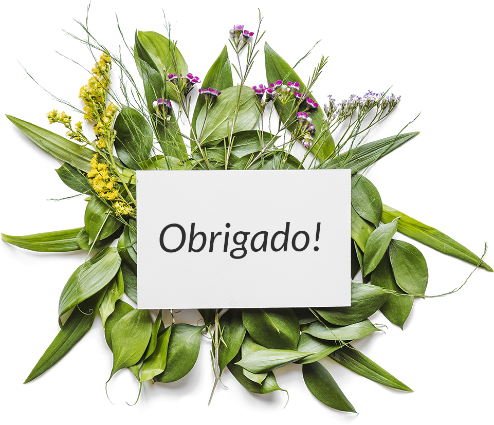 Obrigado!